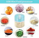 Mini Electric Meat/Garlic Chopper Portable Food Processor