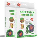 Knee Pain Relief Patches for Instant Relief | Natural Herbal Patches Sticker (Pack of 10) | Relief of Joint Pains Patch for Muscle Stiffness, Knee, Back, Neck, Shoulder Pain (10)